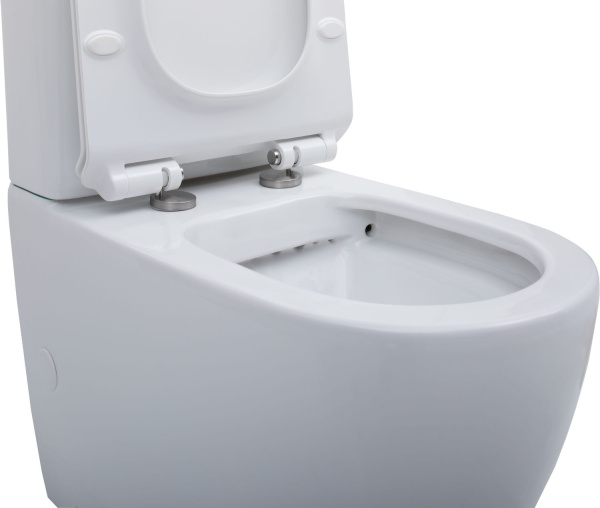 Чаша напольного унитаза Aquanet Cetus CETUS-C1 цвет белый