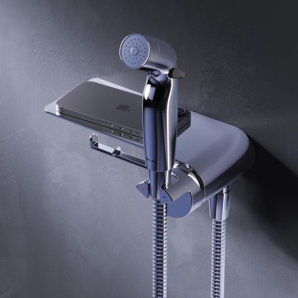 Гигиенический душ Am.Pm Func F0H8F900 встраиваемый в стену хром