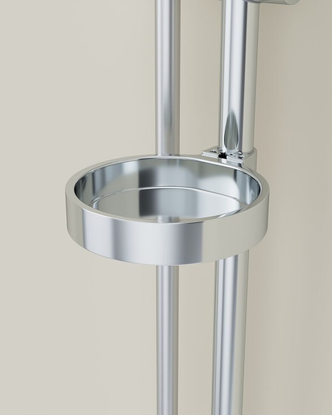 Душевой гарнитур Am.Pm Bliss L F0153164  