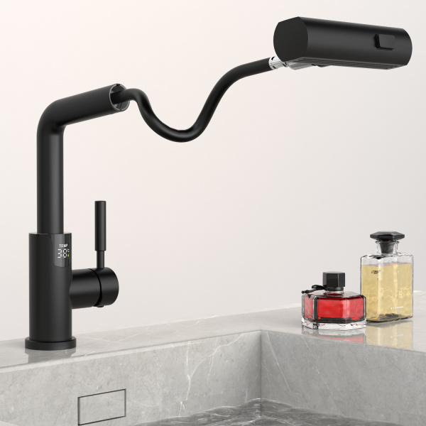 Смеситель для раковины Black&White Universe SD3028B черный