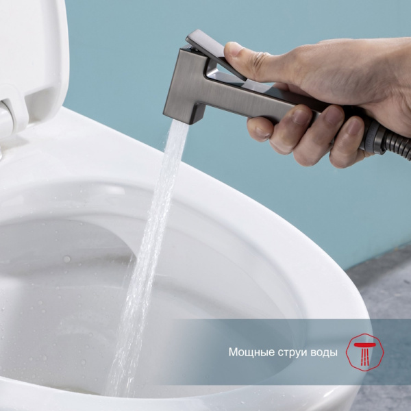 Гигиенический душ Raglo  R51.55.09 встраиваемый в стену графит