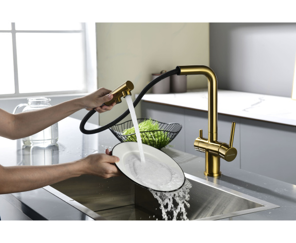 Смеситель для кухни Paulmark SERPENTINE Se213222-BG с подключением к фильтру брашированное золото