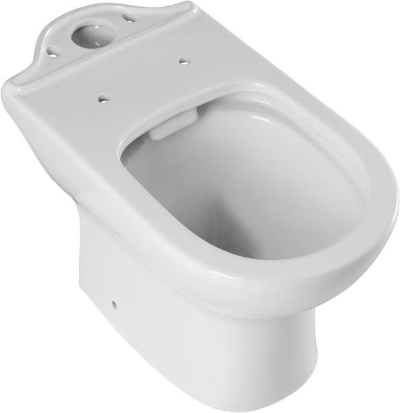 Чаша напольного унитаза Aquanet Ray Ray-C цвет белый