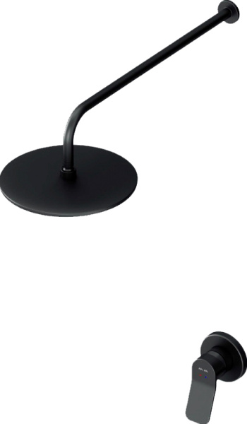 Душевая система со смесителем Am.Pm X-Joy FB85A2R002 монтаж  без термостата 