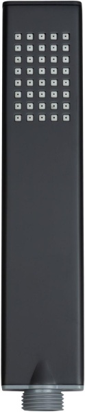 Лейка для душа Allen Brau Infinity 5.21022-31 черная матовая 