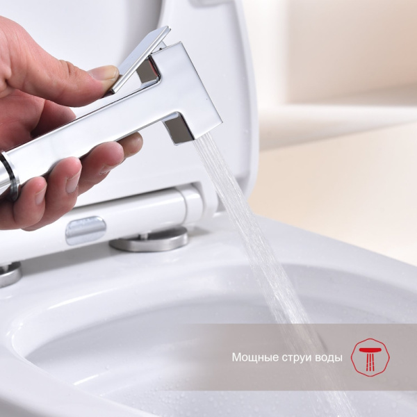 Гигиенический душ Raglo  R51.51 настенный хром