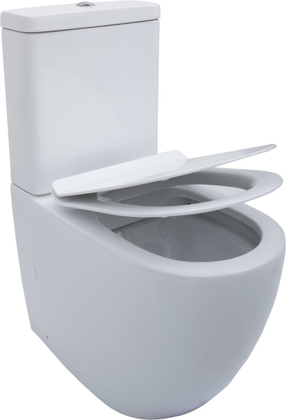 Чаша напольного унитаза Aquanet Cetus CETUS-C1 цвет белый