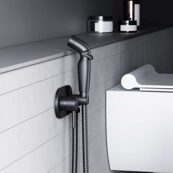 Гигиенический душ Damixa Option 212000300 встраиваемый в стену черный матовый