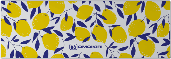 Кухонная мойка прямоугольная Omoikiri Mikura 4993020 встраиваемая сверху белый