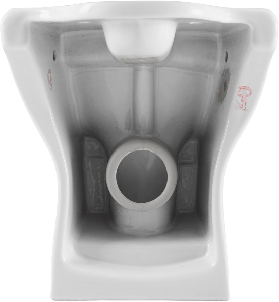 Чаша напольного унитаза Aquanet Ray Ray-C цвет белый