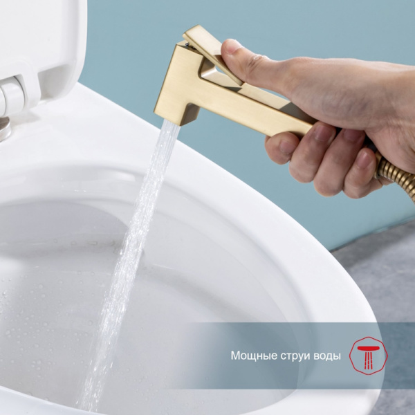 Гигиенический душ Raglo  R51.55.03 встраиваемый в стену золото сатин