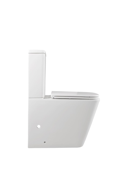 Унитаз напольный Terminus Ватикан 12F61x36W Rimless фарфор белый