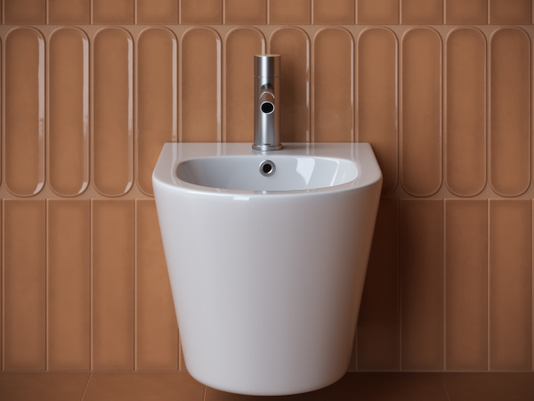 Биде подвесное Ceramica Nova Forma CN3012 фарфор, цвет белый