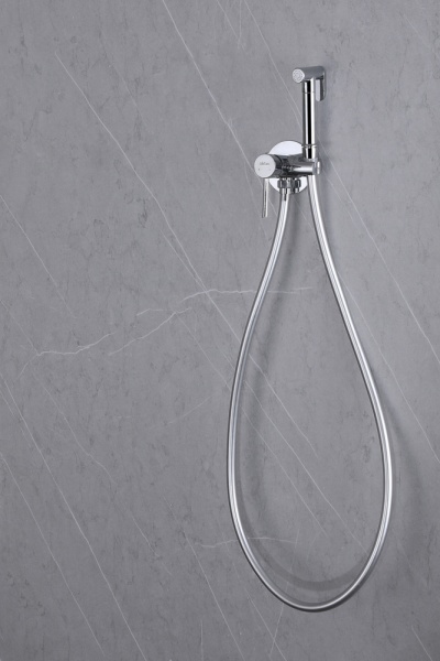 Гигиенический душ Abber Wasser Kreis AF8125 встраиваемый в стену хром