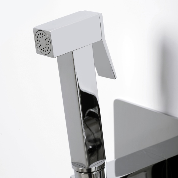 Гигиенический душ Wasserkraft Aller 10638 встраиваемый в стену хром