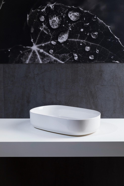 Раковина накладная овальная Allen Brau Fantasy 4.11022.20 керамика цвет белый