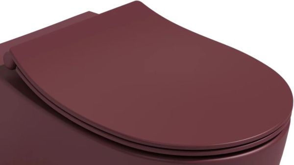 Крышка-сиденье ISVEA Sentimenti Neo 40D80543I-S цвет бордовый матовый