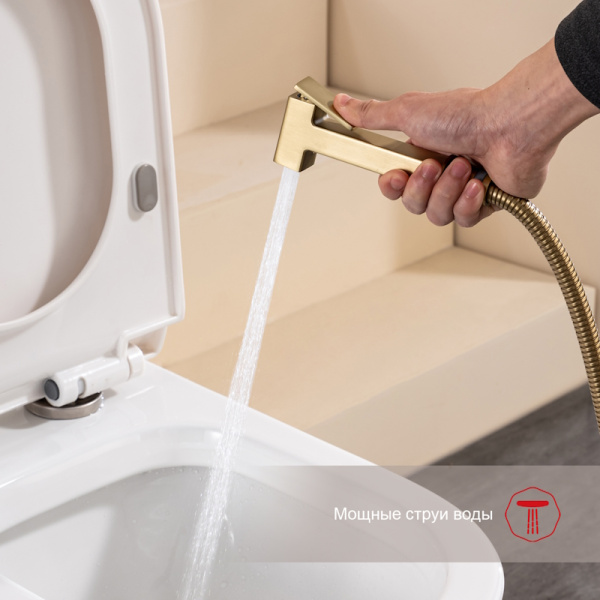 Гигиенический душ Raglo  R51.51.03 настенный золото сатин