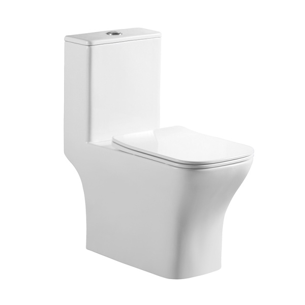 Унитаз напольный моноблок BelBagno Neon BB8617CPR-MN/SC Rimless фаянс белый