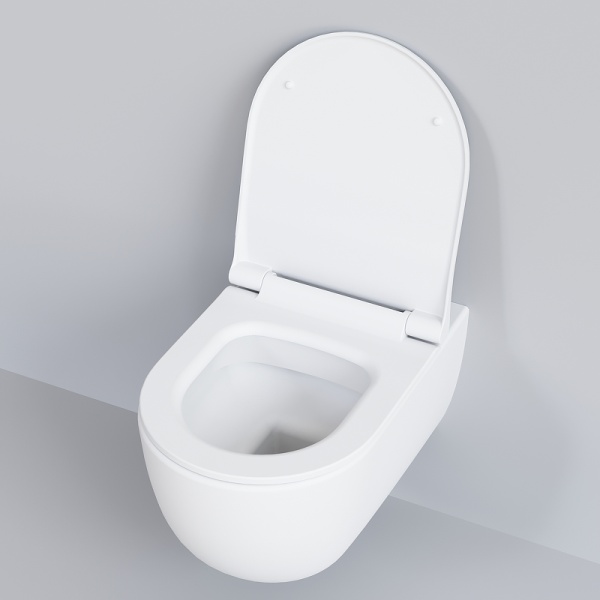 Чаша унитаза Ambassador Abner 103T20101R белый матовый